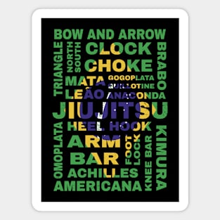 Guide to Jiu Jitsu Flag of Brazil Magnet